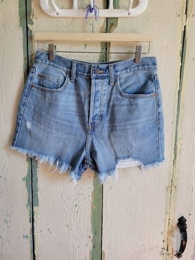Cello Light Blue Distressed Denim Cutoff Shorts
